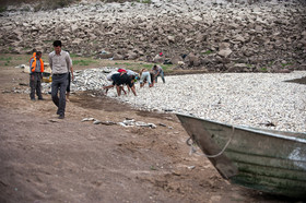 مرگ 2 میلیون ماهی در سد فشافویه
